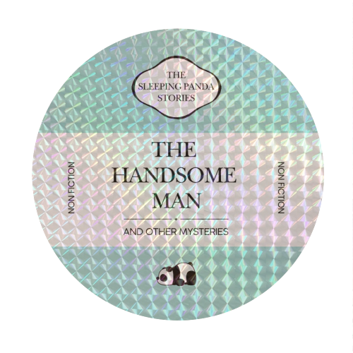 THE HANDSOME MAN - Circle Sticker by Ms Doodle