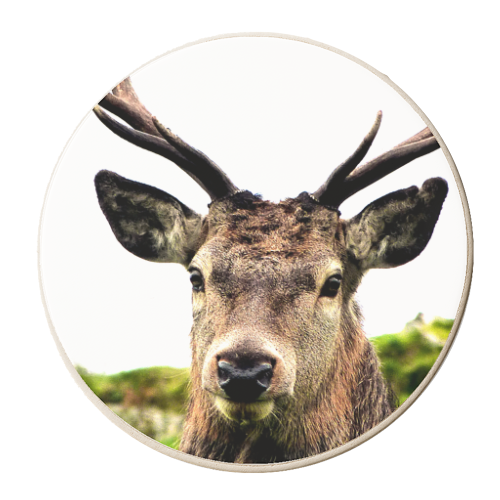 The Highland Stag - personalised beer coaster by Made in the highlands