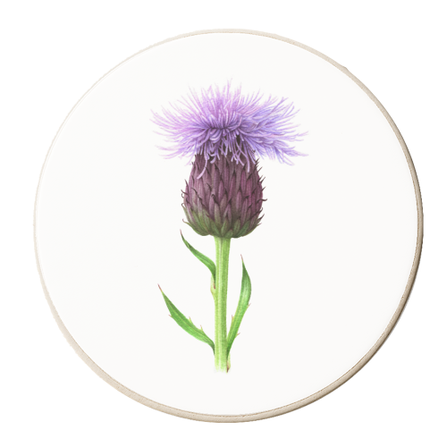 Thistle - personalised beer coaster by She Walks She Paints