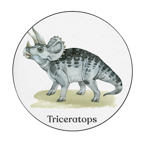 Triceratops - Circle Sticker by Gal Design