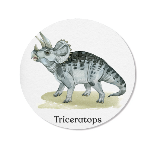 Triceratops - Magnet by Gal Design
