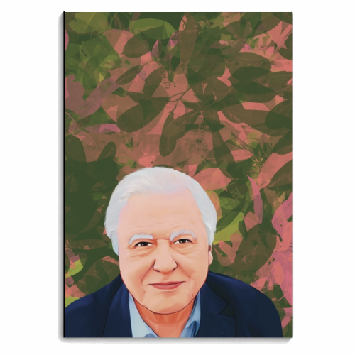 TV personalities: David Attenborough - personalised A4, A5, A6 notebook by Giddy Kipper