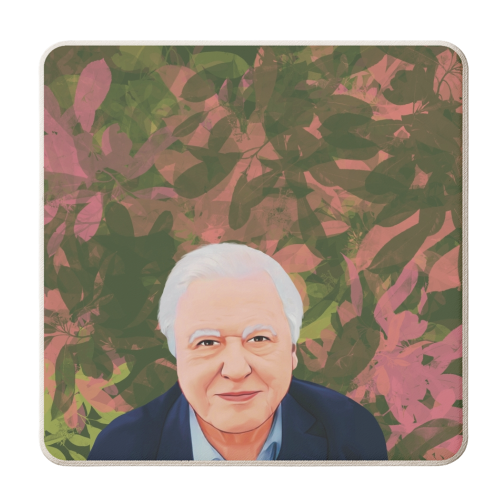 TV personalities: David Attenborough - personalised beer coaster by Giddy Kipper
