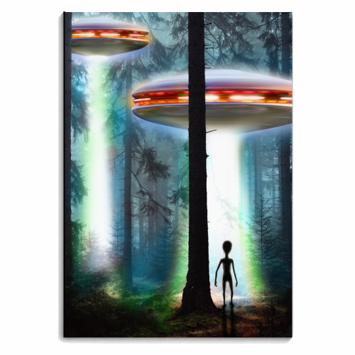 UFO ALIEN FOREST - personalised A4, A5, A6 notebook by InspiredImages