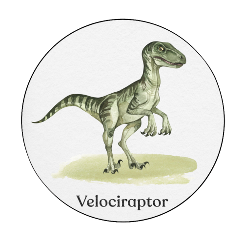 Velociraptor - Circle Sticker by Gal Design