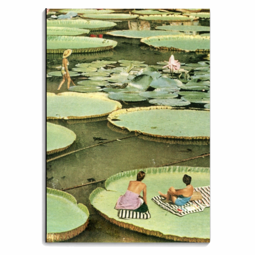 Waterlilies - personalised A4, A5, A6 notebook by Maya Land