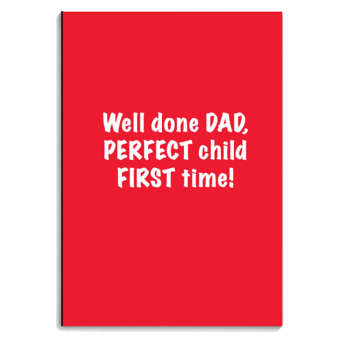 Well done DAD, PERFECT child FIRST time! - personalised A4, A5, A6 notebook by The Boy and the Bear