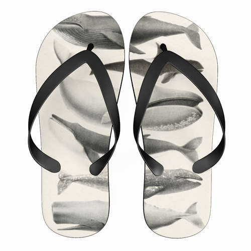 Whales Collection - funny flip flops by Gal Design