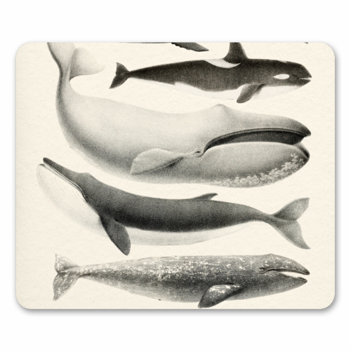 Whales Collection - mouse mat by Gal Design