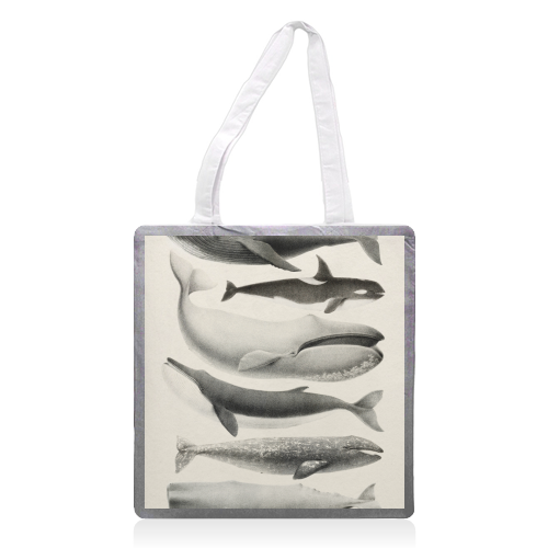 Whales Collection - printed canvas tote bag by Gal Design