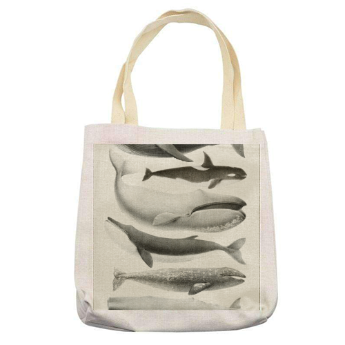 Whales Collection - printed canvas tote bag by Gal Design