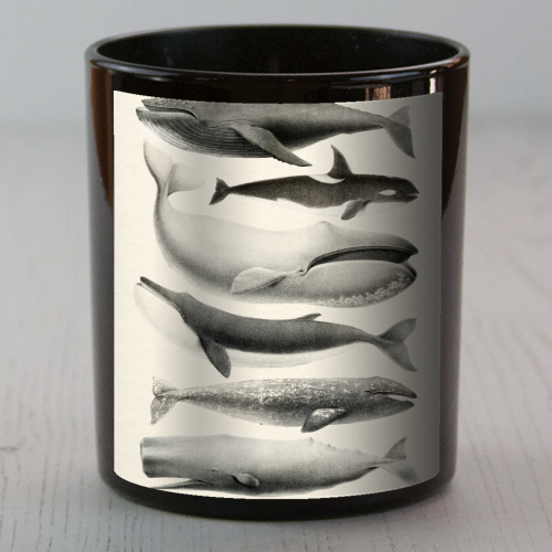 Whales Collection - scented candle by Gal Design