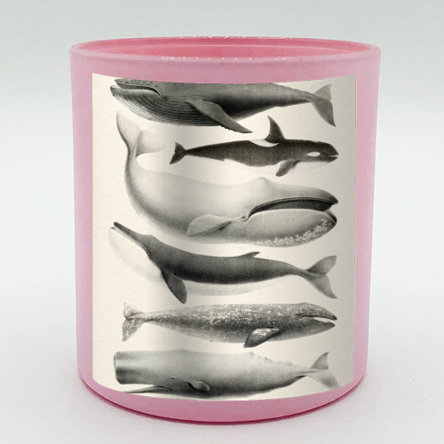Whales Collection - scented candle by Gal Design