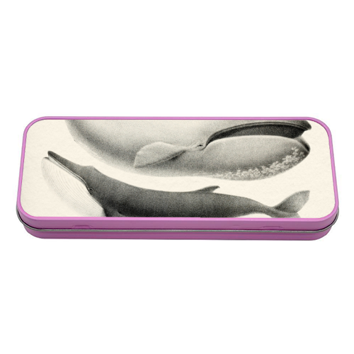 Whales Collection - tin pencil case by Gal Design