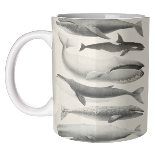 Whales Collection - unique mug by Gal Design