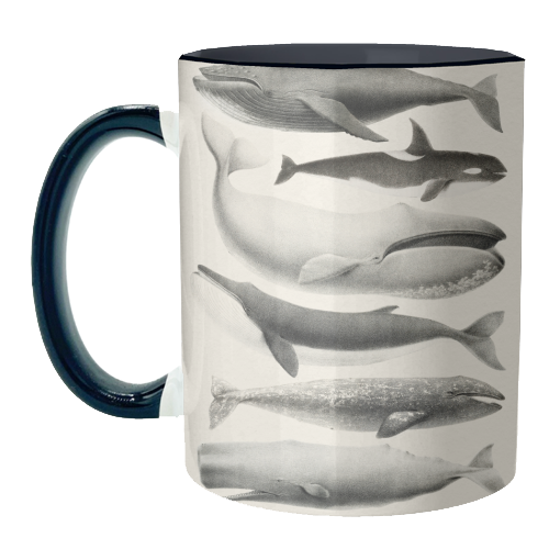 Whales Collection - unique mug by Gal Design