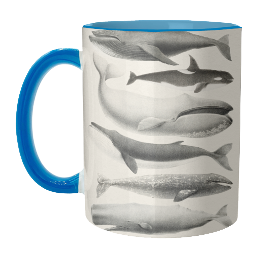 Whales Collection - unique mug by Gal Design