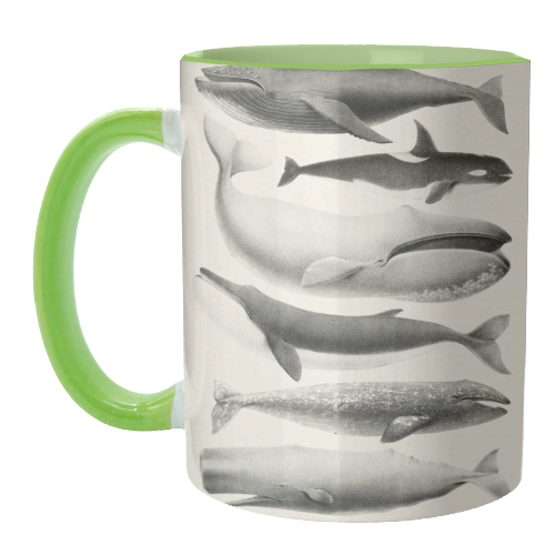Whales Collection - unique mug by Gal Design