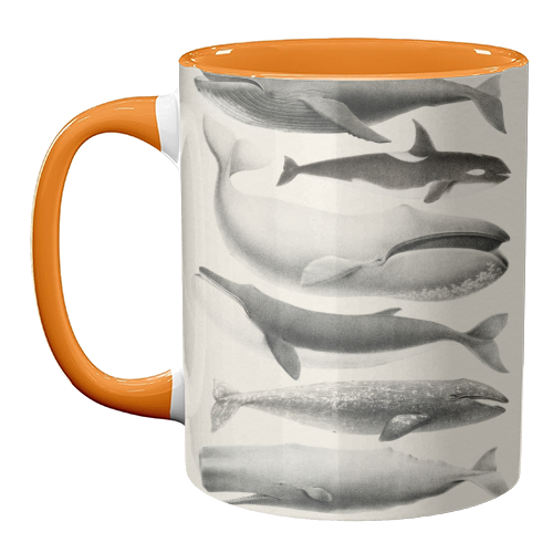 Whales Collection - unique mug by Gal Design