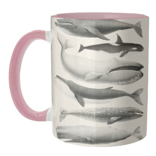 Whales Collection - unique mug by Gal Design