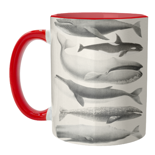 Whales Collection - unique mug by Gal Design