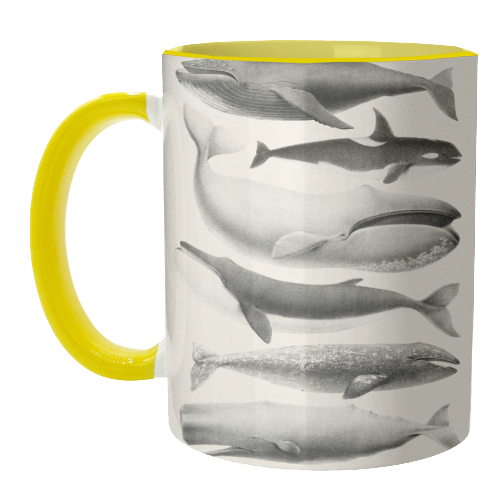 Whales Collection - unique mug by Gal Design