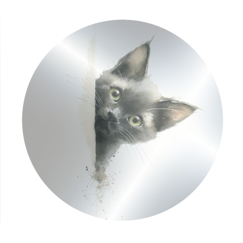 What - Circle Sticker by DejaReve