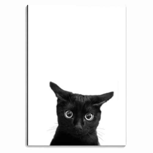 What?! - personalised A4, A5, A6 notebook by DejaReve