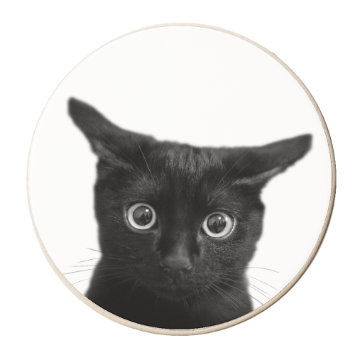 What?! - personalised beer coaster by DejaReve