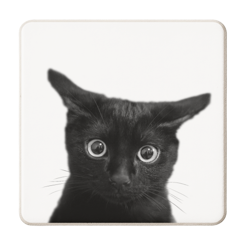 What?! - personalised beer coaster by DejaReve