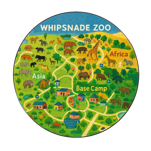 Whipsnade Zoo - Circle Sticker by Lilly Rose