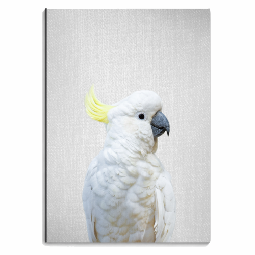White Cockatoo - Colorful - personalised A4, A5, A6 notebook by Gal Design
