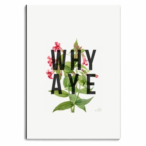 Why Aye - personalised A4, A5, A6 notebook by The 13 Prints