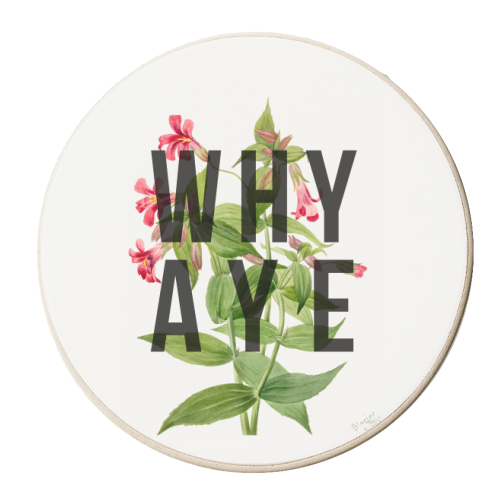 Why Aye - personalised beer coaster by The 13 Prints
