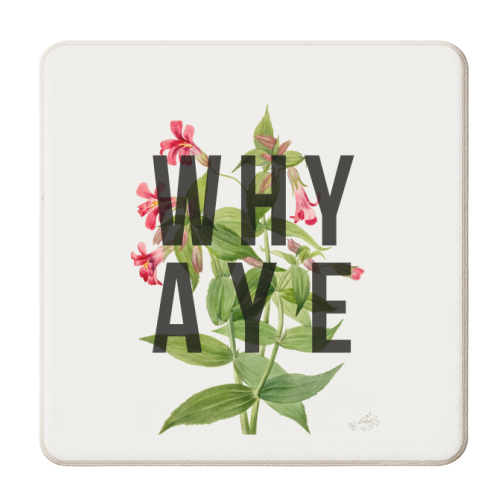 Why Aye - personalised beer coaster by The 13 Prints