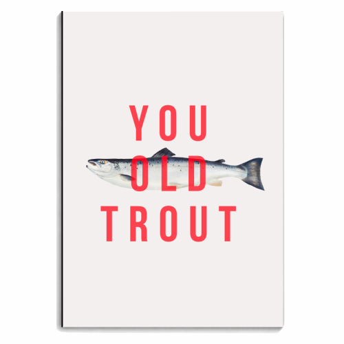 You Old Trout - personalised A4, A5, A6 notebook by The 13 Prints