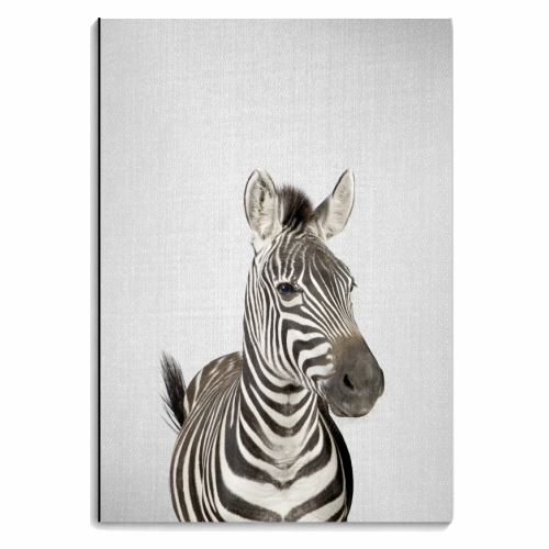 Zebra - personalised A4, A5, A6 notebook by Gal Design